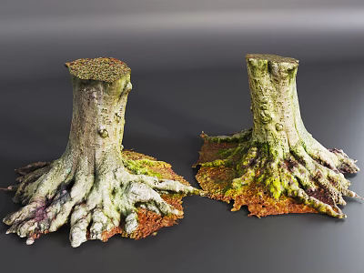 Tree Stumps With Exposed Roots And Moss Covered Surface On Gray Background 3d model