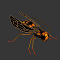 Detailed Wasp Insect With Compound Eyes Antennae And Yellow Black Stripes On Dark Background