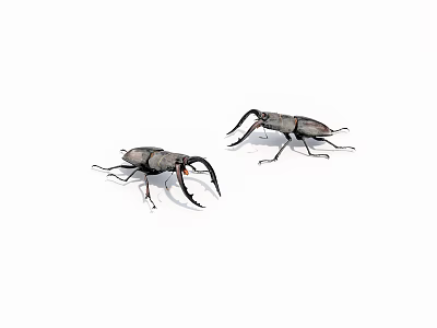 Two Reptiles With Long Mandibles On White Background In Natural Pose 3d model