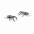 insect spade 3d model