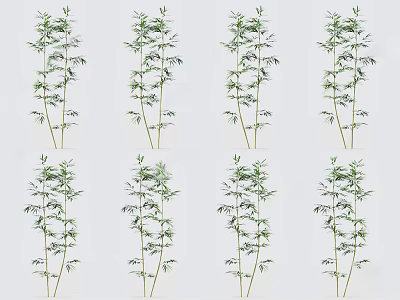 Various Bamboo Plants With Green Leaves And Slender Stems In Natural Growth 3d model