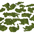 Micro Landforms With Green Grass Covered Varied Natural Shapes And Textures