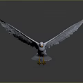 White Seagull Flying Animal With Spreading Wings Orange Beak And Yellow Feet