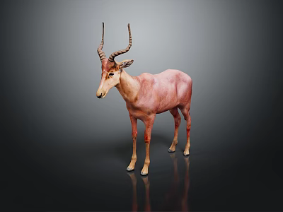 Pink Antelope Standing With Long Horns On Dark Background Showing Reflection 3d model