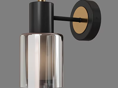 Modern Wall Lamp With Transparent Glass Shade And Black Gold Metal Frame 3d model