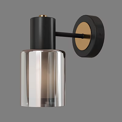 Modern Wall Lamp With Transparent Glass Shade And Black Gold Metal Frame 3d model