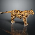 Realistic Spotted Leopard With Detailed Fur Standing On Shiny Black Surface And Reflection
