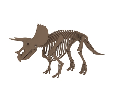 Modern skeleton dinosaur 3d model