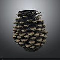 Pine Cone With Natural Scaly Brown Texture Isolated On Dark Background