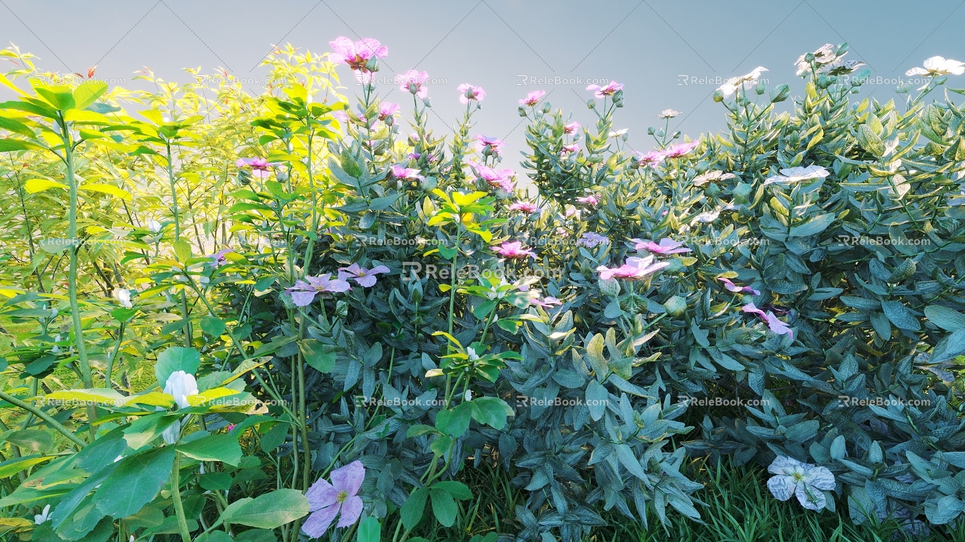 Flowers and plants combination landscape shrubs shrubs plant combination natural landscape flowers 3d model