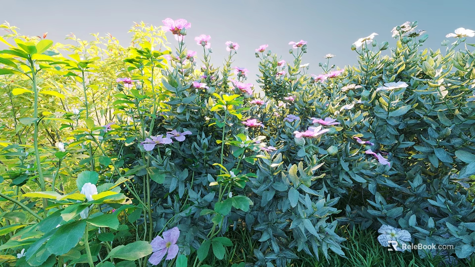 Lush Green Shrubs With Purple Flowers And Fresh Leaves In Sunlit Garden 3d model 