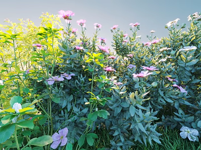 Lush Green Shrubs With Purple Flowers And Fresh Leaves In Sunlit Garden 3d model