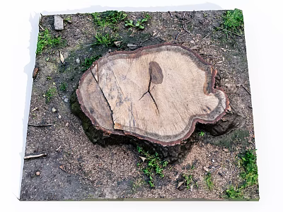 Modern stump cut down tree 3d model