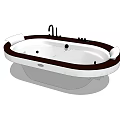 Freestanding Whirlpool Bathtub With White Body Dark Rim And Jets Faucet