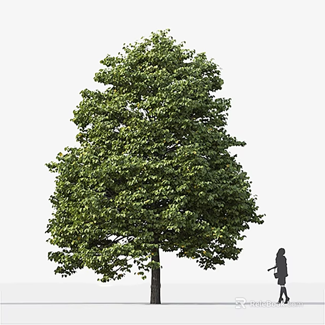 Tall Arbor with Lush Green Foliage and Small Human Figure in Outdoor Scene 3d model 