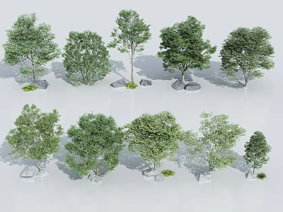 Various Types of Trees In Natural Display With Diverse Canopy Shapes And Stones 3d model