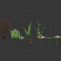 Aquatic Plants With Lotus Flowers Lily Pads And Reflections On Dark Water Surface