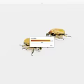 Insect golden turtle 3d model