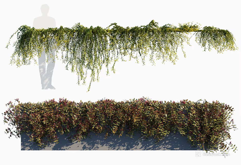 Decorative Hanging and Border Vines with Green and Red Leaves 3d model 