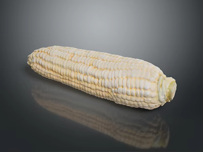 Fresh White Corn Cob on Black Background with Clear Reflection 3d model