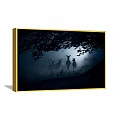 Misty Forest Animal Painting Featuring Silhouette Deer In Grass And Trees