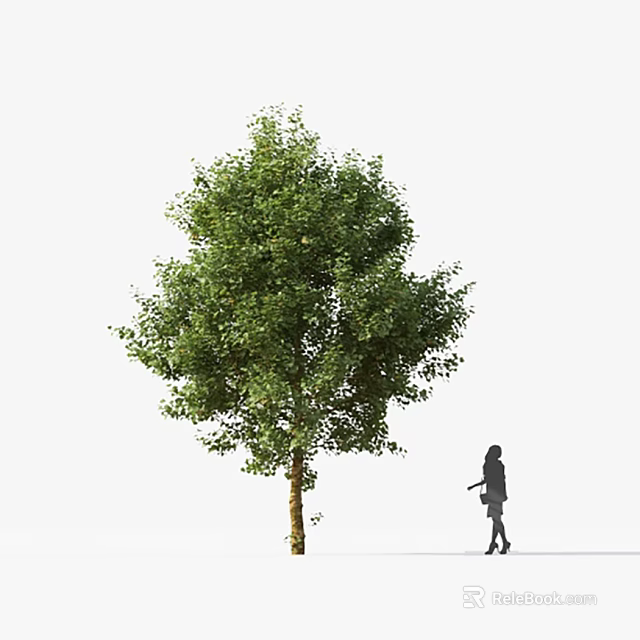 Lush Green Arbor with Dense Foliage and Silhouette of a Person Nearby 3d model 