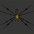 Black And Yellow Spider With Long Legs And Distinct Body Patterns On Gray Background