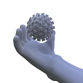 Medical Device For Virus Research Display Model Held In Human Hand 3d model