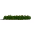 Vibrant Green Natural Grass With Irregular Shape And Soft Shadow