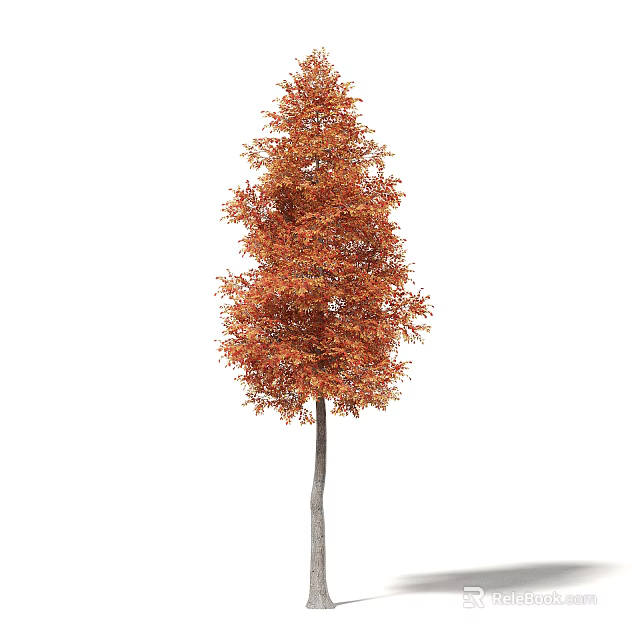 Tall Arbor With Orange Red Autumn Leaves And Slender Trunk In Natural Scene 3d model 