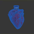 Red Heart Shaped Glass Bottle With Black Cap And Vein Like Texture On Dark Background