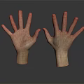 Realistic Open Hands Model Display With Detailed Fingers And Dark Background Reflection 3d model