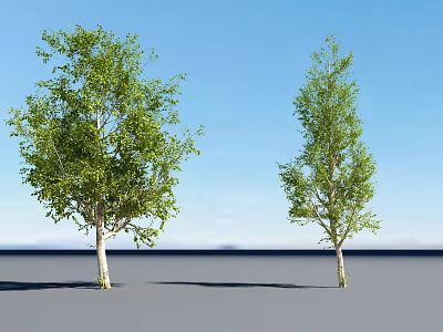 Two Green Arbor Trees Standing on Gray Ground Against Clear Blue Sky 3d model