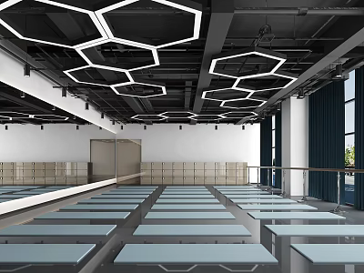 Modern Fitness Training Studio With Hexagonal Ceiling Lights And Mirror Walls 3d model
