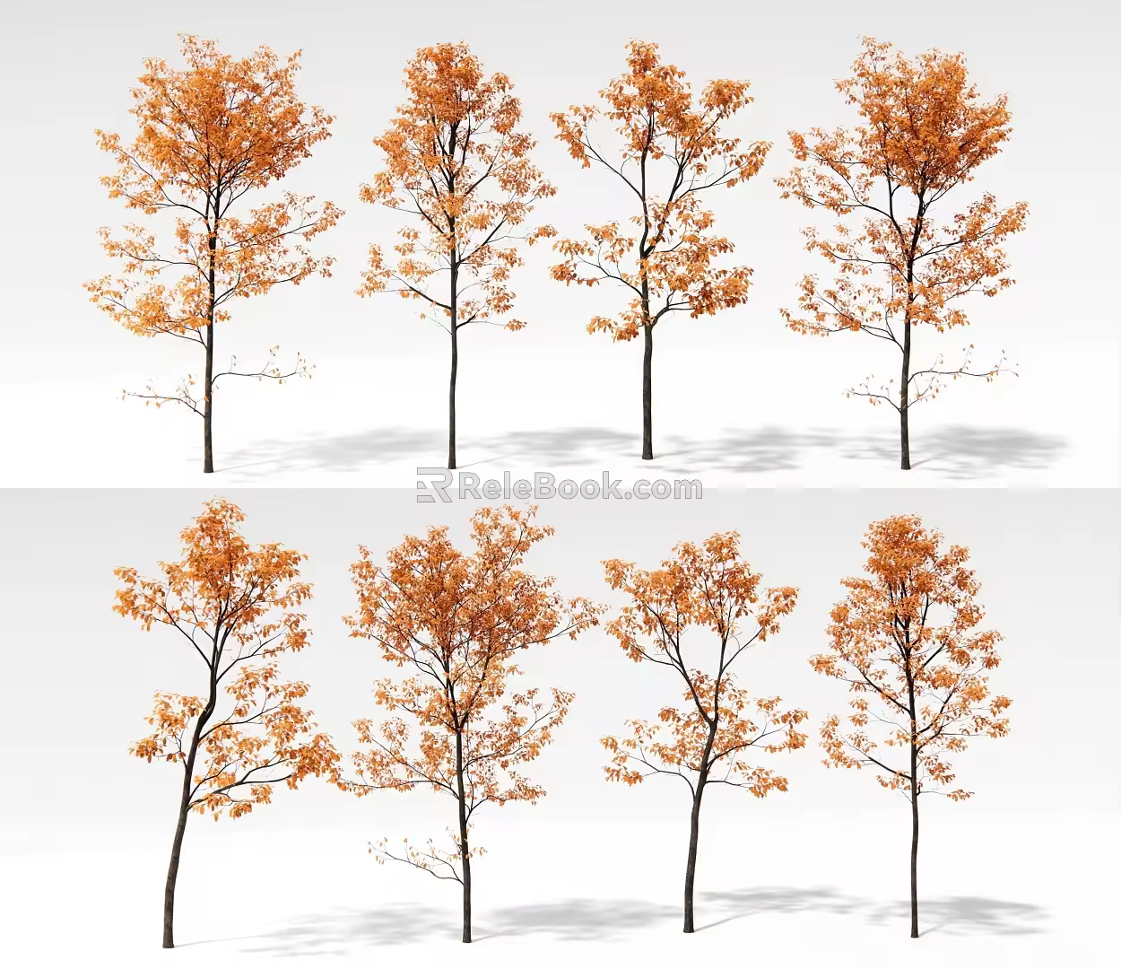Landscape Tree Ginkgo Tree Poplar Tree Arbor Garden Landscape Tree 3d model