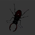 Modern beetle dung beetle chafer 3d model