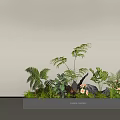 Modern Plant Combination with Ferns Orchids Green Plants and Stones in Poliform Container