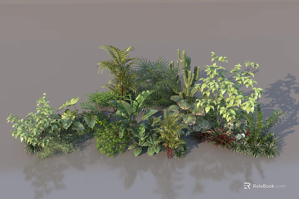 Plant Combination With Various Green Plants Ferns Succulents And Tropical Leaves 3d model 
