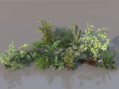 Plant Combination With Various Green Plants Ferns Succulents And Tropical Leaves 3d model