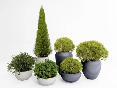 Modern potted shrub potted flower bed flower bowl 3d model