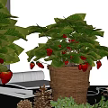 Strawberry Potted Plant In Wicker Basket With Green Leaves And Red Fruits For Indoor Decor