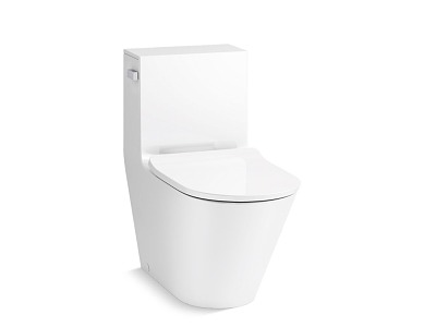 Kohler Toilet Vertical Toilet 3d model