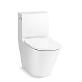 Kohler Toilet Vertical Toilet Toilet 3d model