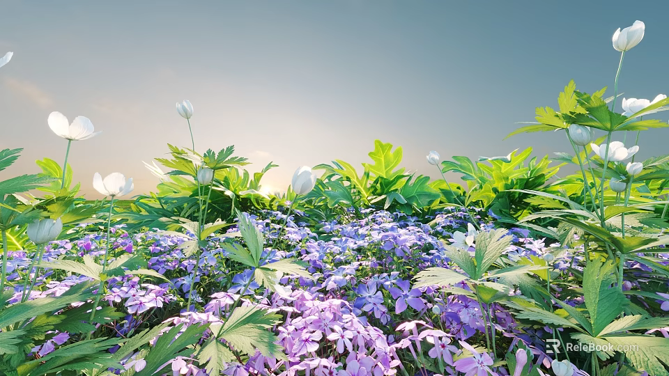 Blooming Purple And White Flowers With Green Leaves Under Sunlight And Blue Sky 3d model 