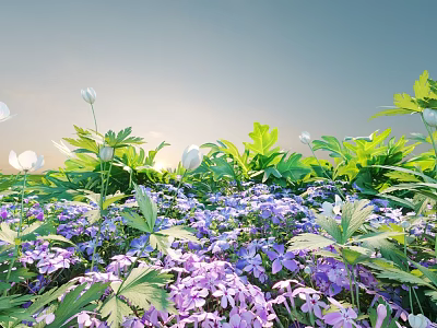 Blooming Purple And White Flowers With Green Leaves Under Sunlight And Blue Sky 3d model