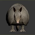 Armadillo With Scaly Armor Long Snout And Small Claws On Dark Surface