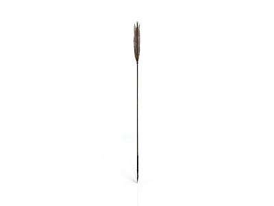 Long Thin Metal Rod Tool With Feather Like Top Structure Design 3d model