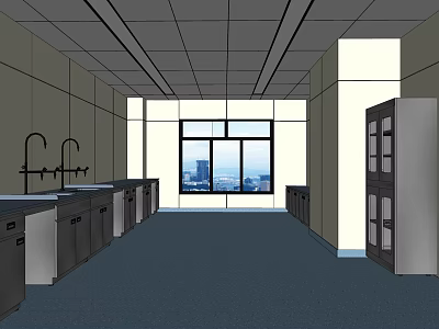 Laboratory Interior With Sinks Cabinets Large Windows And City View 3d model