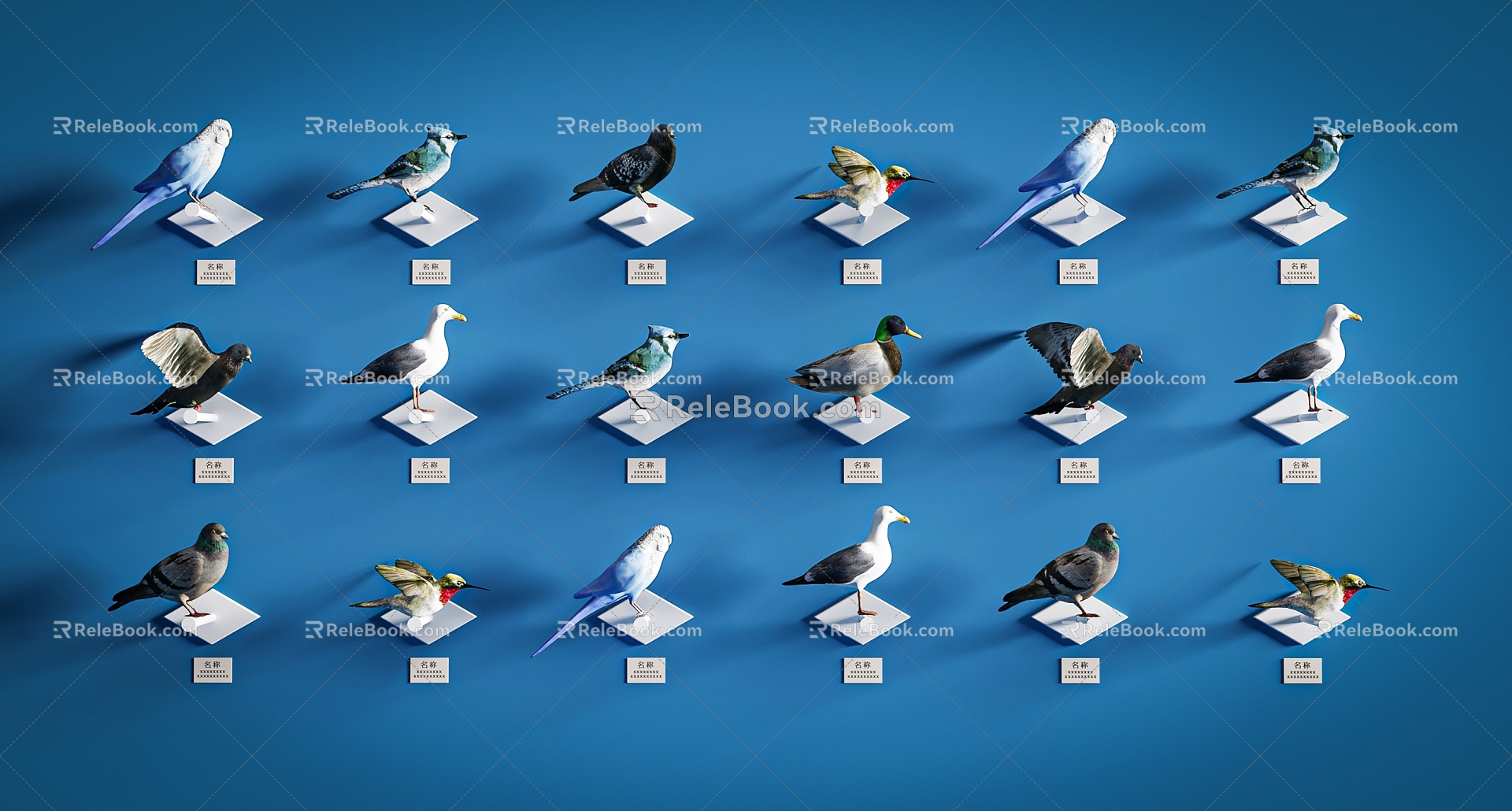 Modern Animal Specimen Birds Animal Exhibition Hall Parrot 3d model