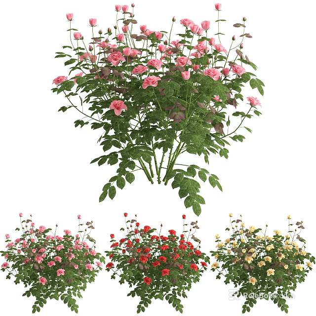 Beautiful Vase with Pink Red Yellow Flowers and Green Leaves for Home Decor 3d model 